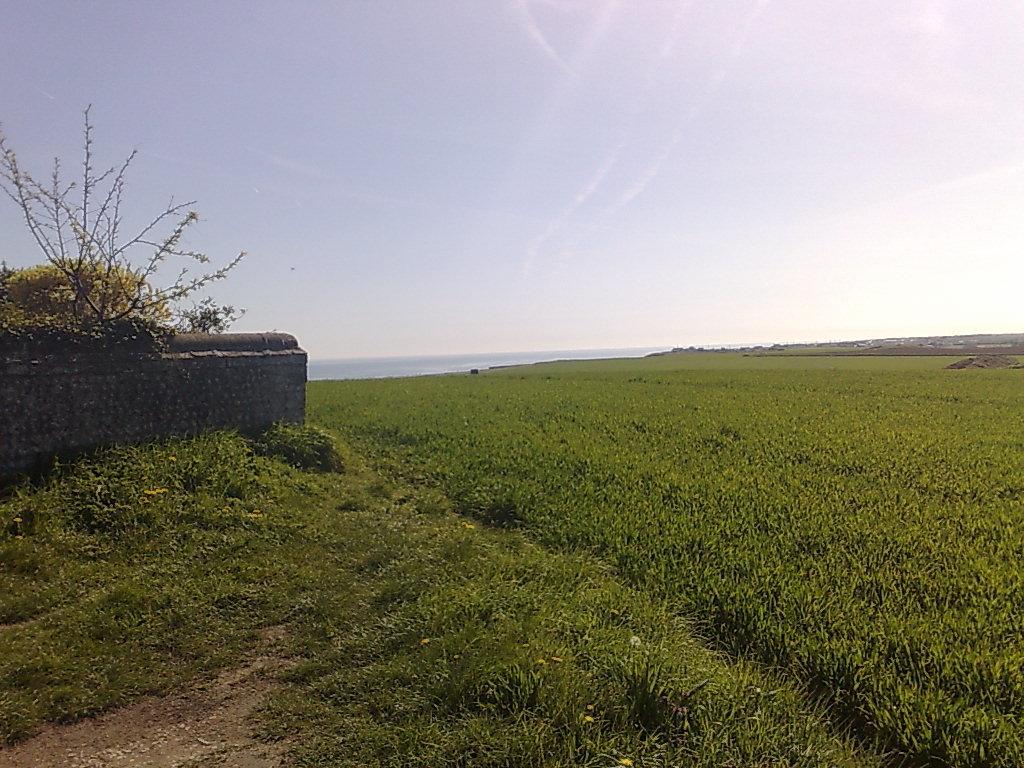 Bacton  Seaview Cottage מראה חיצוני תמונה